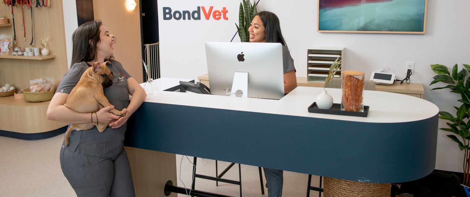 Garden City Animal Hospital & Vet Clinic Bond Vet